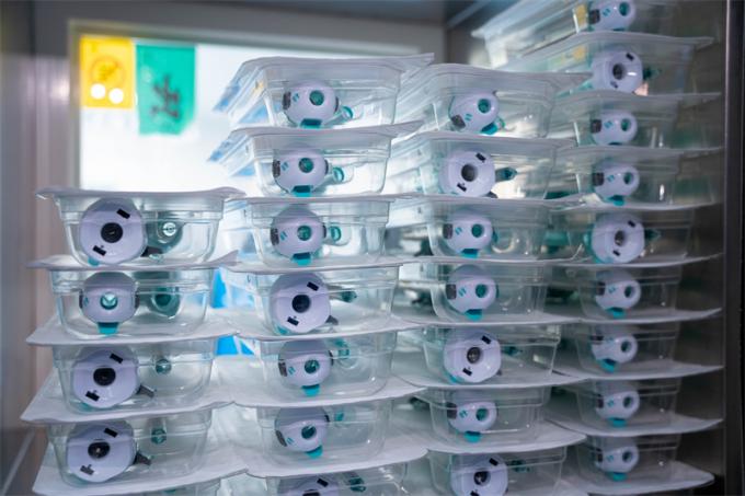 Trocar desechable de tipo Hasson de 12 mm con certificación CE para cirugía laparoscópica cirugía médica 5